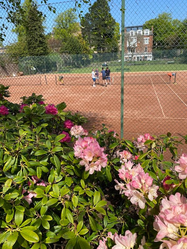 Falcon Bowling and Tennis Club tennis courts