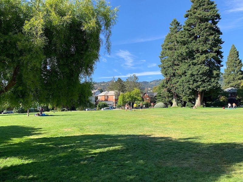 Willard Park tennis courts
