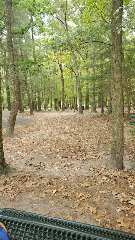 Washington Lake Park. 626 Hurffville-Cross Keys Rd. Lot D. Pavillion A tennis courts