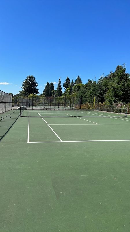 Seward Park Tennis Courts tennis courts