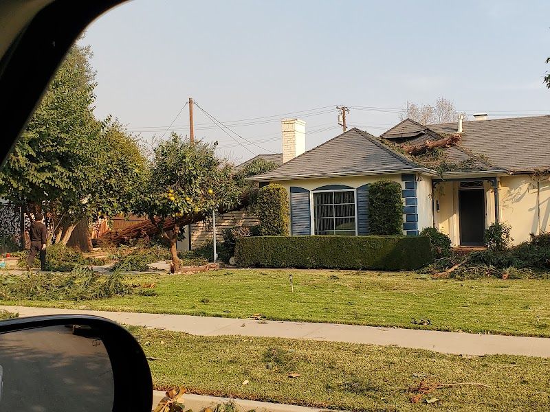 Hugo Reid Park-tennis courts tennis courts