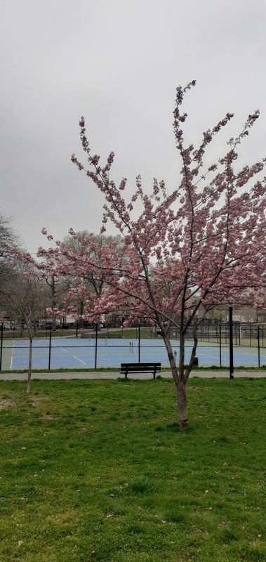 St. James Park Tennis Courts tennis courts