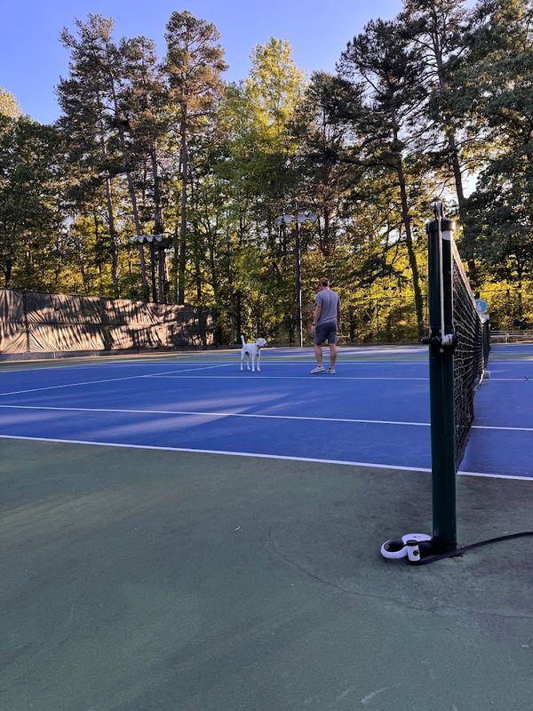 Longwood Park Tennis Courts tennis courts