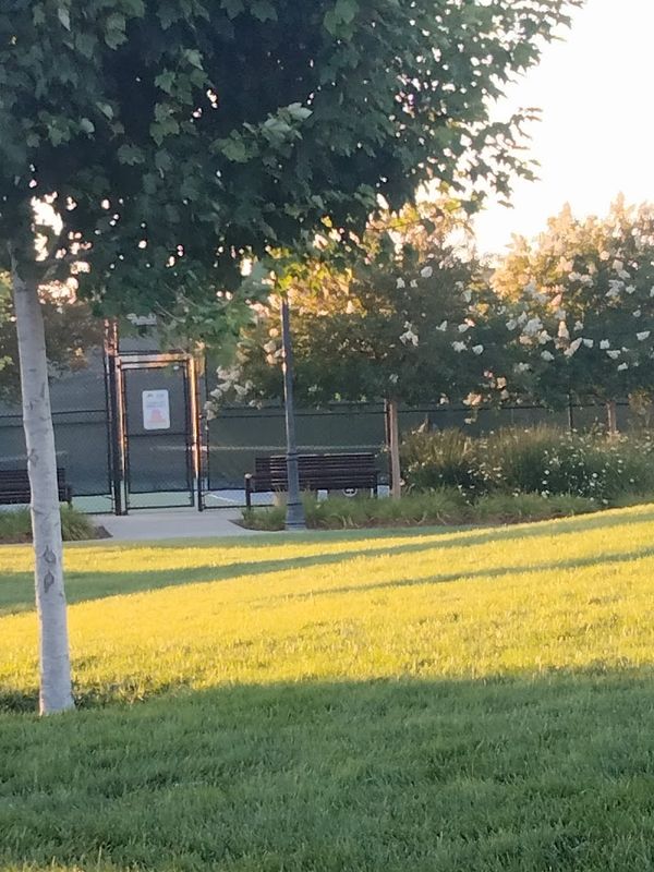 Tennis Courts | Horseshoe Park tennis courts